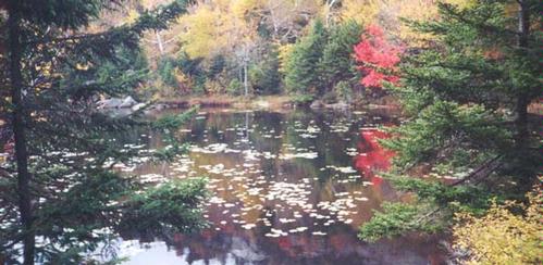 Mount Sunapee Hike