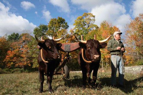 Yale Forest-Nipmuck Trail Hike & Farm Tour 