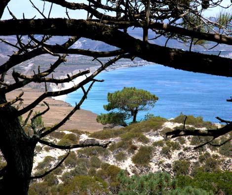 Santa Rosa Island Backpacking