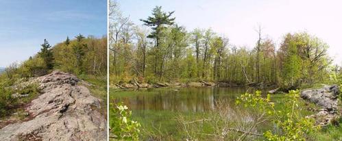 Snake Mountain and Red Rock Pond Hike
