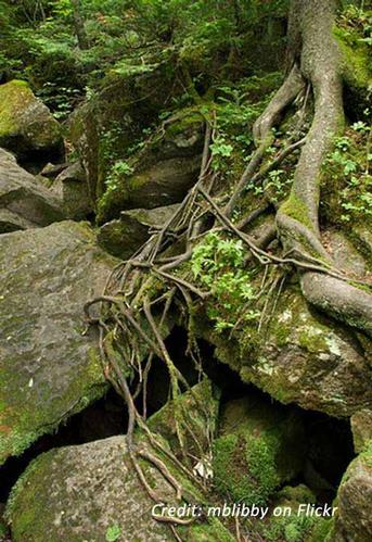 Hike the Mahoosuc Arm and Mahoosuc Notch