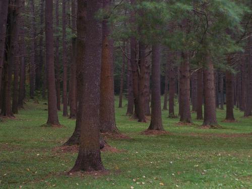 New Hampshire GO Social Meet-Up