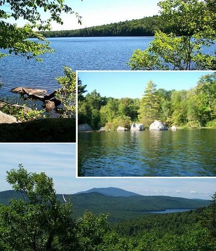 Willard Pond Wildlife Sanctuary Hike