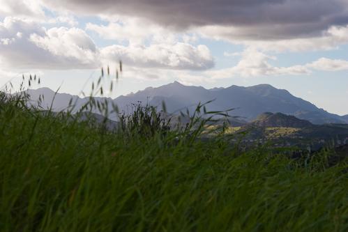 Mishe Mokwa Trail - Sandstone Peak