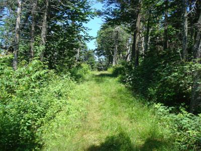 GetFit Hike #3: Mt. Shaw