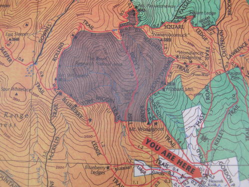 Peak bag Mts. Whiteface and Passaconaway