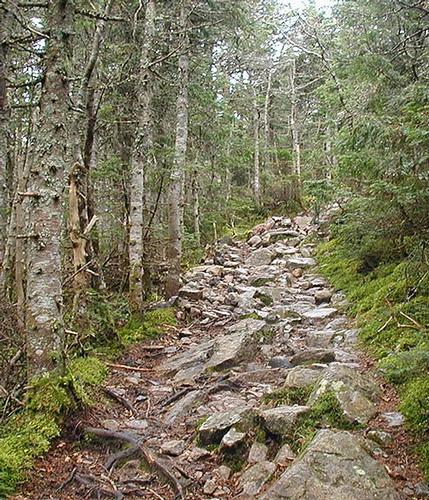 Mt. Garfield Hike