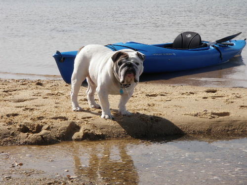 Kayaking to Fire Island 