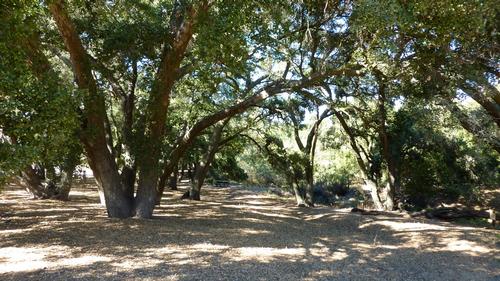 Musch Trail to Eagle Rock – Topanga Cyn