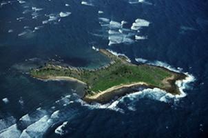 Malaekahana Beach & Goat Island Snorkel