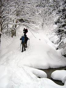 GetWinter Hike #1: Cloudland Falls