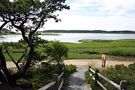 Great Island Hike