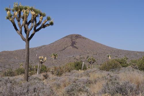 HIKE Joshua Tree - Lost Horse Mine Trail