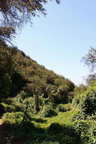 Los Liones Trail to Parker Mesa Overlook