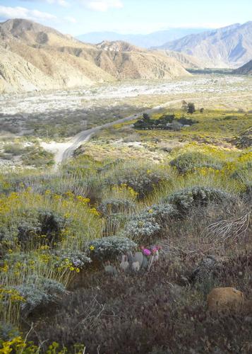 Hike & Pack Lunch - Whitewater Preserve