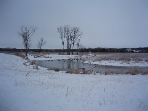 Snowshoeing