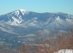 Mts Whiteface and Ester