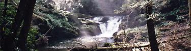 Van Campens Glen Trail/Del. Water Gap