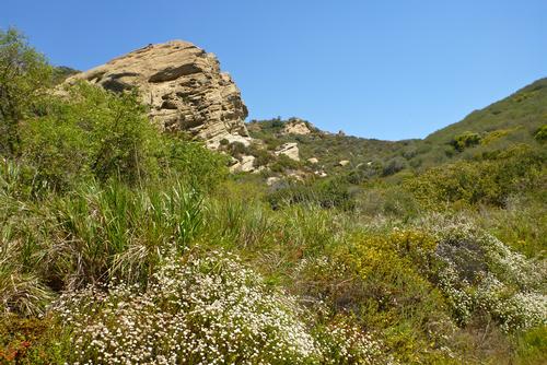 Musch Trail to Eagle Rock