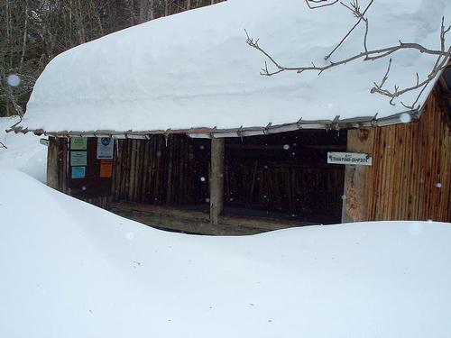 Ethan Pond Snowshoe
