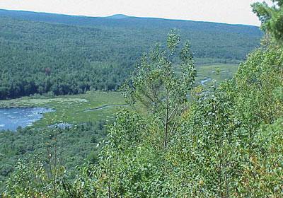 Tully Trail East