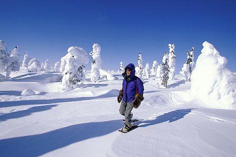Vermont ski / snowshoe weekend