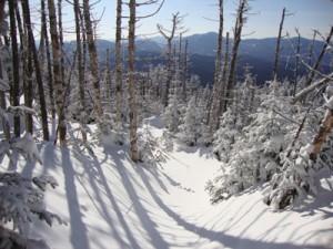 Willey Range Snowshoe