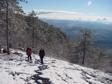 South Moat Snowshoe
