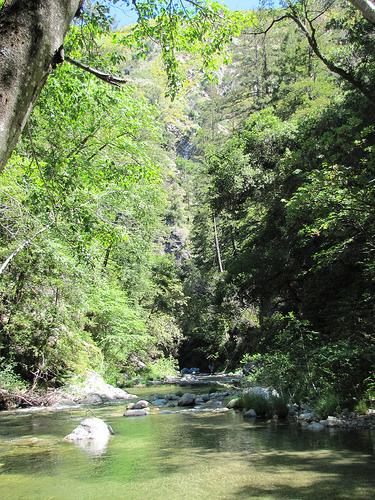 Backpacking Big Sur: Logwood Ridge