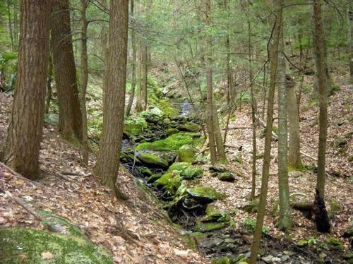 Pine Knob Loop & Appalachian Trail Hike