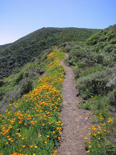 La Jolla Canyon Hike
