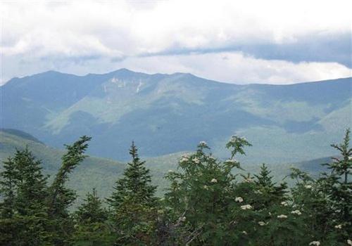 Mt. Wolf