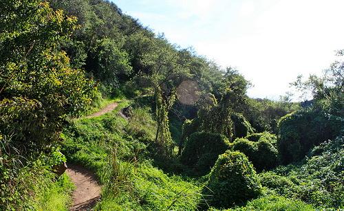 Los Liones Trail to Parker Mesa Overlook