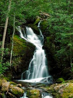 Great Smoky Mtn Natl Park- Big Creek Tr 