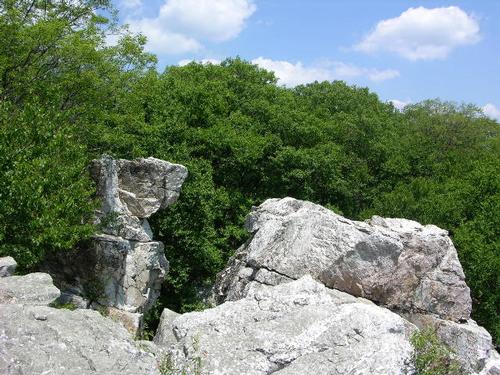 Catoctin Mountain Park Hike