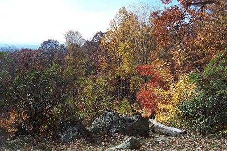 Sugarloaf Mountain - fall colors hike