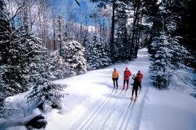 MLK Ski Weekend at Frog Meadow B&B