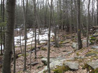 Case Mountain Trails