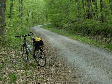 Columbia Trail in Long Valley