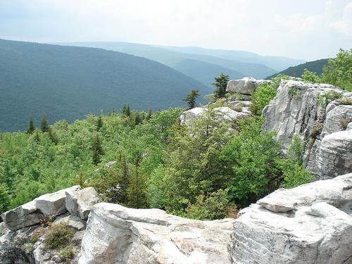 Backpacking in Dolly Sods, WV