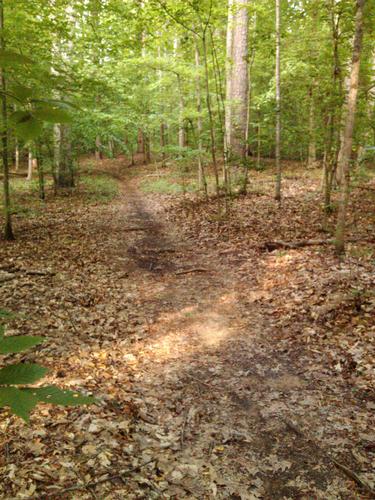 Mountain Biking-Pocahontas SP