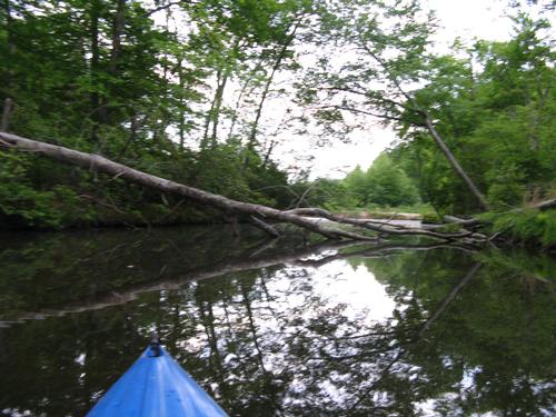 Kayaking, Pocahotas State Park