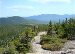 Mount Crawford Hike