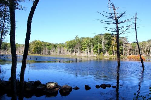 Great Bay Estuary Hike