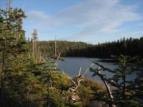 Nancy Pond Haunted Hike