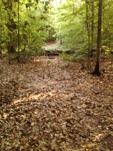 Mtn Biking Pocahontas State Park