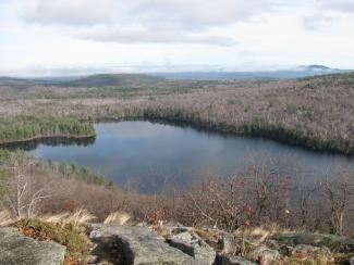 Willard Pond Wildlife Sanctuary Hike