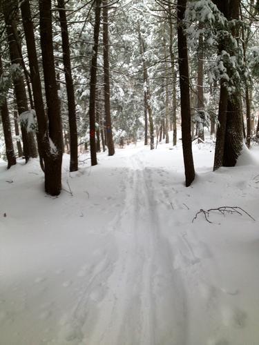 MLK winter weekend at Frog Medow  