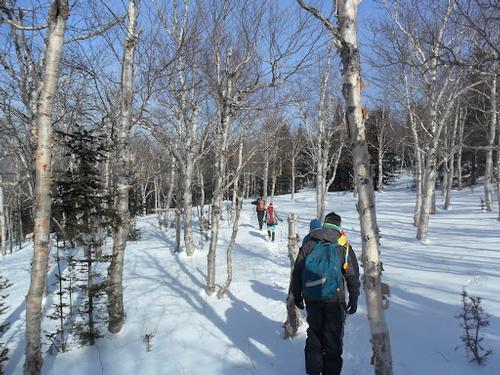 Mt. Isolation Snowshoe