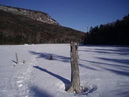 GetWinter Hike #1: Greeley Ponds
